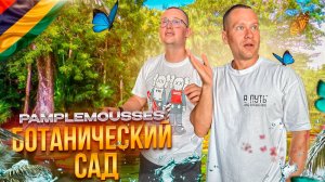 МАВРИКИЙ. БОТАНИЧЕСКИЙ САД ПАМПЛЕМУС. Где растут самые гигантские кувшинки?