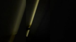 217501.mp4