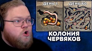 Т2х2 СМОТРИТ: Я Заселил Колонию Червей В Стеклянный Дом И Вот, Что Случилось За 60 Дней | Live Today