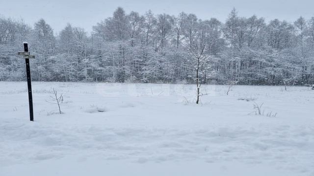 10963316 смотреть онлайн