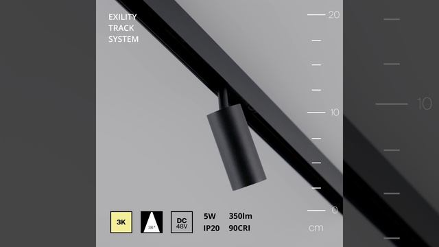 Светильник Maytoni Exility Focus LED TR032-2-5W3K-M-B смотреть онлайн