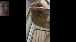 Смешные коты с озвучкой (Часть 2)