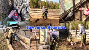 Пополнение, ранняя картошка, берёзовый сок и первые грядки в этом году