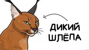 Ты - Каракал (И ЭТО ВСЯ ТВОЯ ЖИЗНЬ)