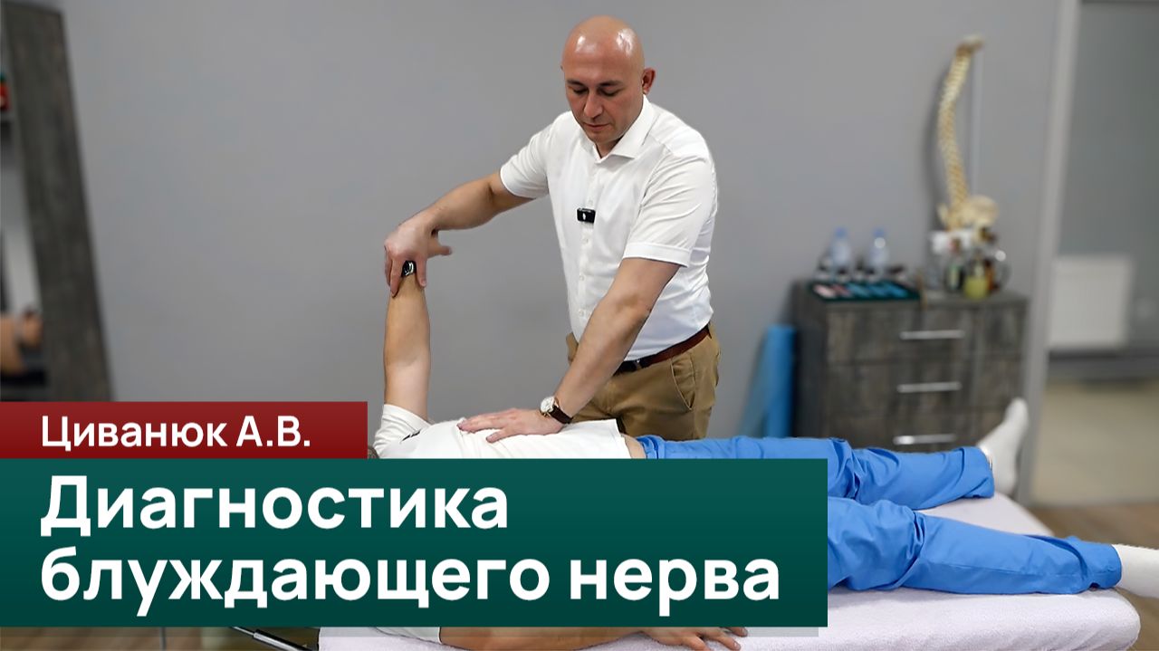 Диагностика блуждающего нерва. Полный алгоритм коррекции. Циванюк А.В. смотреть онлайн
