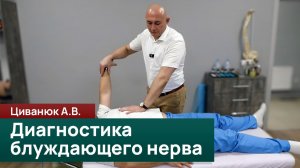Диагностика блуждающего нерва. Полный алгоритм коррекции. Циванюк А.В.