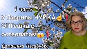 1 часть. У Гаврилы ЧУЙКА❗️ОПГешка с остеопатом😱❗️