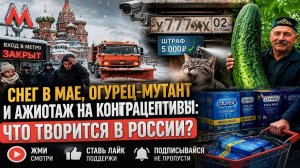 Сугробы вместо шашлыков, огурец почти в метр и атака на скрытые номера — обзор безумств недели