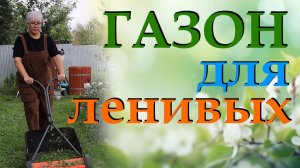 Сеем газонную траву правильно: подробная инструкция