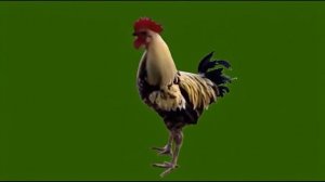 Петушок_encoded