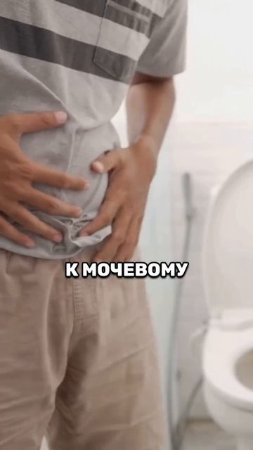Для утренней эрекции