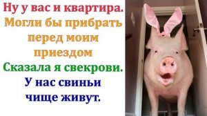Фу, у вас все стаканы грязные!  Сказала я свекрови. У нас в деревне свиньи чище живут. Месть удалась