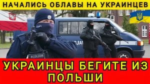 Украинцев начали Депортировать из Польши и отдавать в ВСУ❗