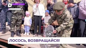 Дети из села Сержантово выпустили в реку Лидовку 15 миллионов молоди кеты