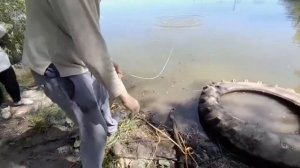 Поисковые магниты в деле в станице Динской Краснодарского края.mp4