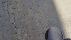 МОЙ ВЛОГ С БАСИКОМ