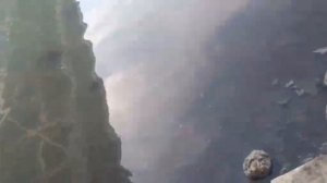Поисковой кошкой в поисках потерянного поискового магнита на Кубани в Краснодаре с .mp4