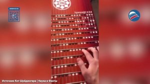 Невероятный музыкальный инструмент: Harpejji – гибрид гитары и фортепиано