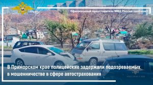 В Приморье полицейские задержали подозреваемых в мошенничестве в сфере автострахования