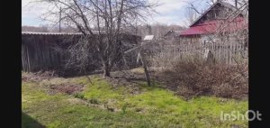 Мир , труд , май. Работаю в огороде.