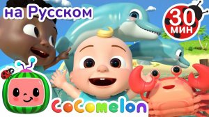 Морские Животные # Новая Серия💫 30 минут # CoComelon на русском — Детские песенки