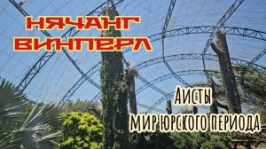 Мир юрского периода, Аисты. Нячанг, Винперл.