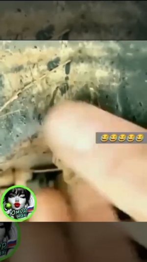 Как поменять масло в машине.