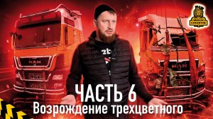 Возрождение трехцветного или MAN @vklogistik часть 6