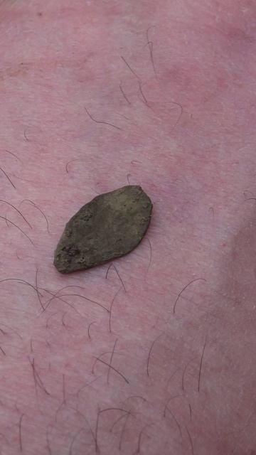 Такие красивые монеты были )) #shorts #старинныемонеты #былое  #metaldetecting #леснойкоп