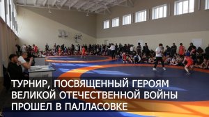 Турнир по вольной борьбе в Палласовке / Апрель 2026