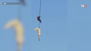 В брюхе крокодила в ЮАР нашли пропавшего бизнесмена