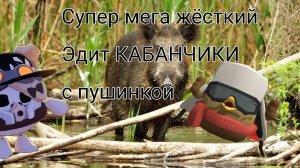 кабанчики