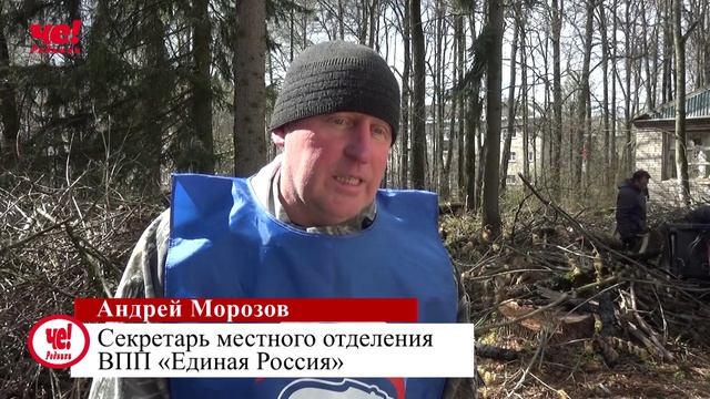 Всегородской субботник смотреть онлайн
