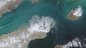«Свободу» остановили: почему США поставили на паузу очередную операцию в Ормузском проливе
