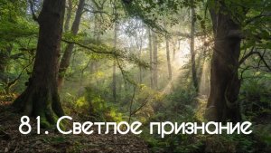 81. Светлое признание