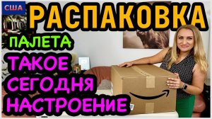 А почему нет? Такое сегодня настроение Распаковка мини товаров из палета Амазон. США. Флорида