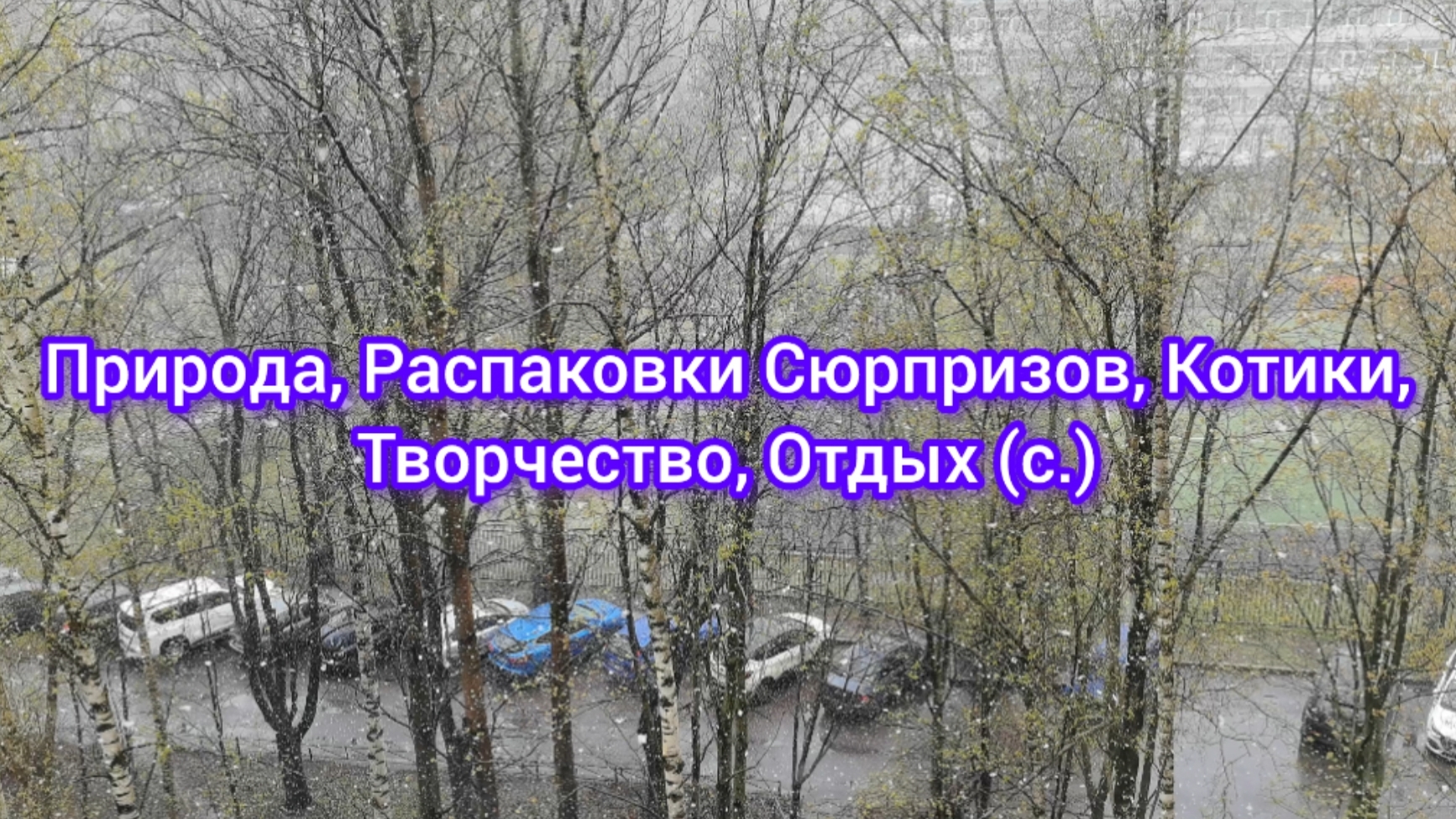 Природа, Распаковка Сюрпризов, Котики, Творчество, Отдых (с.) смотреть онлайн