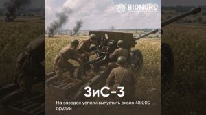 С Днём Победы! Память, которая объединяет