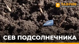 В Херсонской области продолжается сев подсолнечника