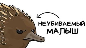Ты - Ехидна (И ТЕБЕ РЕАЛЬНО ПОВЕЗЛО)