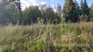 Муж бросил умирающую жену в больнице и уехал с любовницей в Испанию. А едва узнав…
