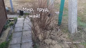 Труды в 1 май. Дача. Праздник прошел на Ура! Заряжаеся!