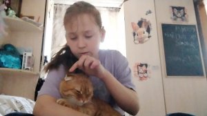 моя кошечка По имени Симба