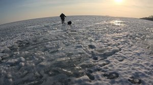Один весенний день рыбалки на Онежском озере.