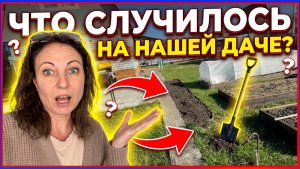 КУПИЛИ ДАЧУ/ВЫХОДНЫЕ НА ДАЧЕ/СТРОИМ БАНЮ СВОИМИ РУКАМИ/УБОРКА ТЕРРИТОРИИ /ЧТО ВЫРОСЛО НА ДАЧЕ