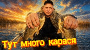 На пяти озёрах РЫБАЛКА ЛОВЛЮ КАРАСЯ!