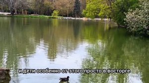 Знаете, где в Симферополе зелёный оазис? .mp4