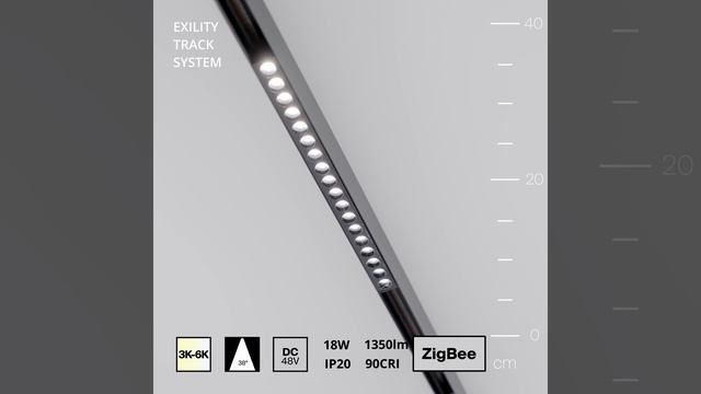 Cветильник Maytoni Exility Points TR031-4-18WTW-M-DSZ-B смотреть онлайн