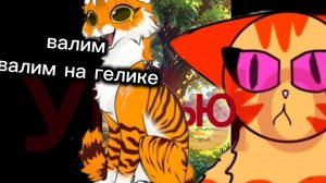 валим валим на гелике!!!! пажочек вот мэсть сью