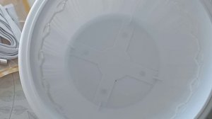 покупочки с WB))рассадила мускари)))